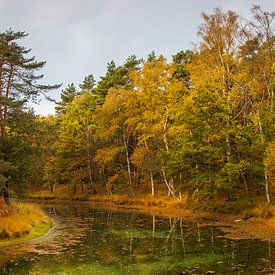 Herbst auf Heidestein von Bert van Wijk