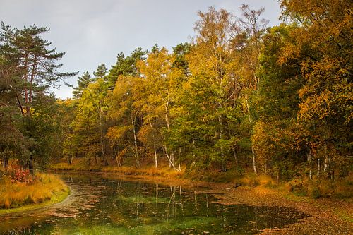 Herbst auf Heidestein