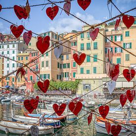 Port of Camogli, Italy by Annette Roijaards