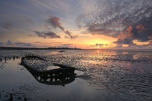 Wrack im Wattenmeer bei Wierum