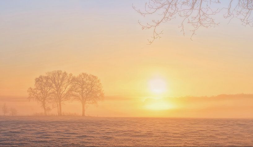 Sunrise by Aline Nijland