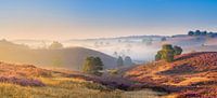 Panorama van de Posbank tijdens zonsopkomst