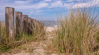 Naar het strand