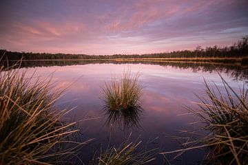 Sunset reflection in the moor! by Peter Haastrecht, van