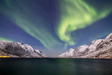 Northern Lights above Fjord by Freek van den Driesschen
