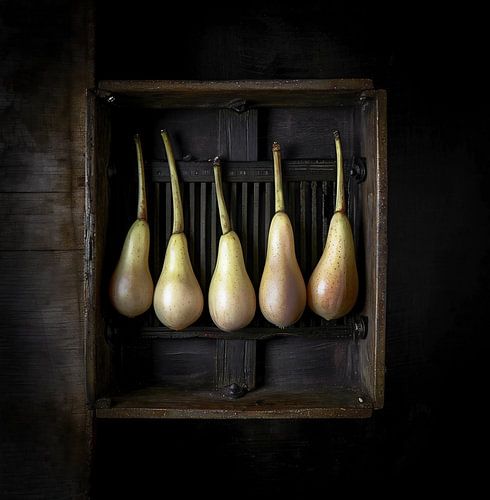 Still life in the kitchen