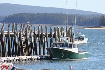 boot in haven Maine van Bas Berk