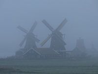 Mills in the mist at the Zaanse schans
