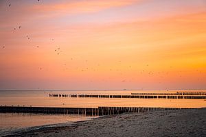 Lever de soleil sur la plage de la forêt des fantômes Nienhagen sur la mer Baltique, côte de la mer Baltique, Mecklembourg-Poméranie occidentale, Allemagne
