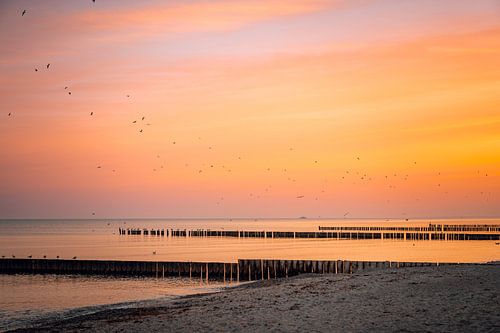 Lever de soleil sur la plage de la forêt des fantômes Nienhagen sur la mer Baltique, côte de la mer Baltique, Mecklembourg-Poméranie occidentale, Allemagne sur Thilo Wagner