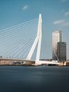 Erasmus Bridge, Rotterdam van Lorena Cirstea thumbnail