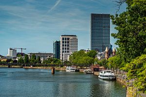 Wir blicken von der Alten Brücke auf Frankfurt
