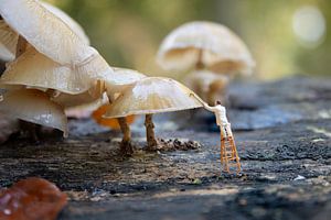 Miniaturmaler ist mit der Pflege und Reinigung des Waldes beschäftigt