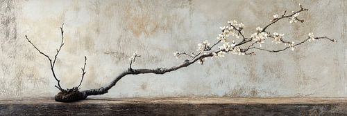 Tak bonsai almondbloesem stilleven op een oude houten tafel als panorama