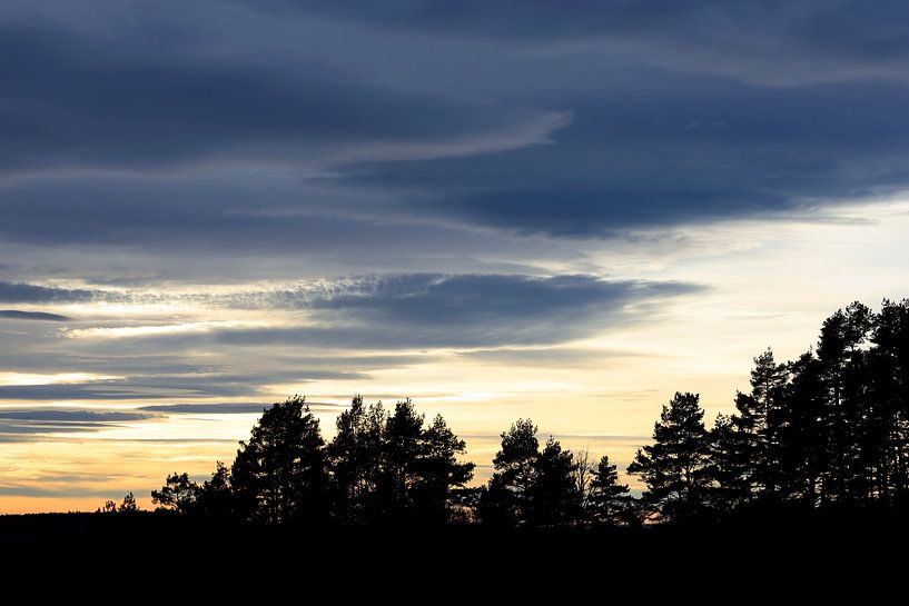 Black Forest in winter by Thomas Jäger