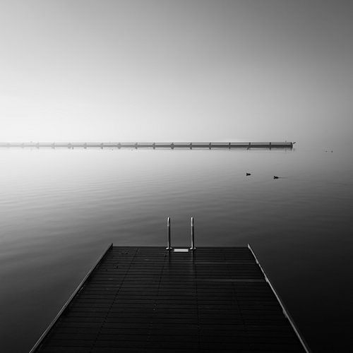Zwartwit plaat van een steiger en water met 3 vogeltjes op de achtergrond