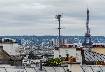 Eiffeltoren en de rest van Parijs van Emil Golshani