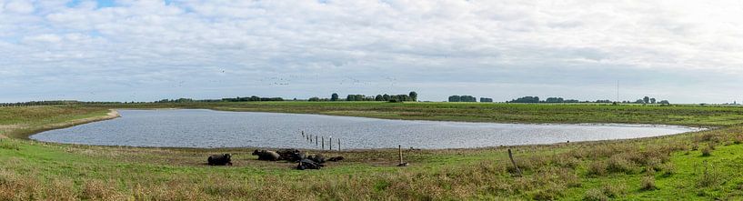 Bislicher Insel Nordrhein-Westfalen Panorama by Richard Wareham