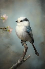 Lentegroet van Brigitta Meijer