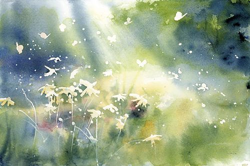 Landschapslicht, Katrina Pete