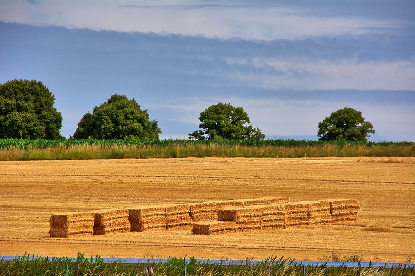 Bauernland 2 van Edgar Schermaul