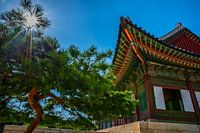 "Verblijf" in Zuid Koreaans paleis