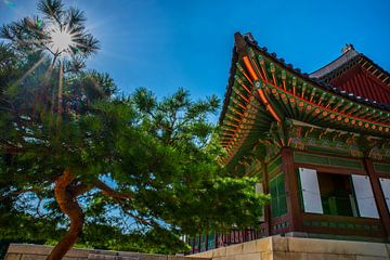 "Verblijf" in Zuid Koreaans paleis von Kaj Hendriks