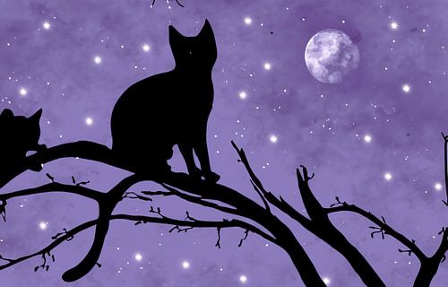 Illustratie van twee katten op een tak in de nacht met maan en s