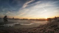 There's the sun by Lex Schulte thumbnail
