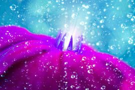 under water by Ribbi