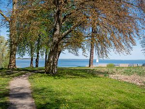 Zicht op een meer in het Mecklenburgse merengebied van Animaflora PicsStock