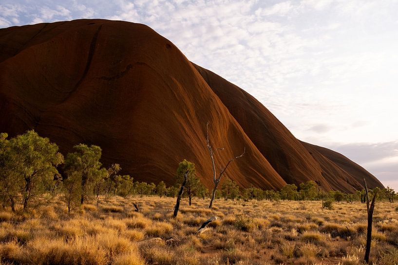 Uluru-Felsen in Australien von Helene van Rijn