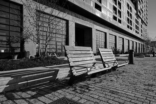 Deux bancs sur la Maashavenkade à Rotterdam