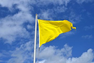 Gelbe Flagge von Lilly Wonderz