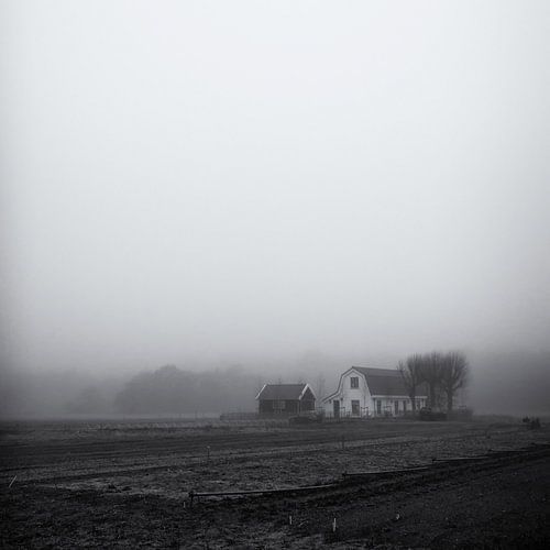 Bauernhaus im Nebel, Heemskerk von Paul Beentjes