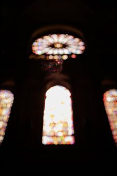 Spectacle de lumière Basilique Saint-Remi Reims sur Nicolette Suijkerbuijk