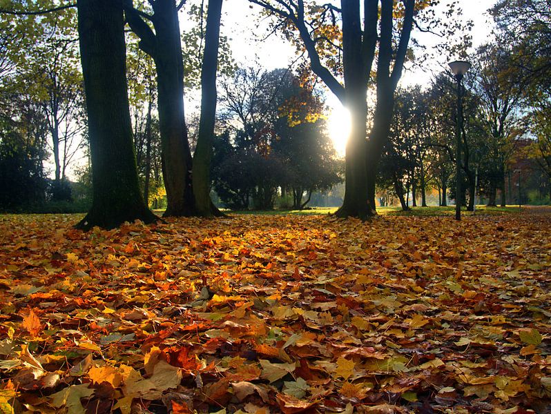 Loof 13 van Edgar Schermaul