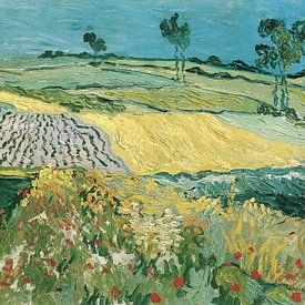 The Plain of Auvers, Vincent van Gogh