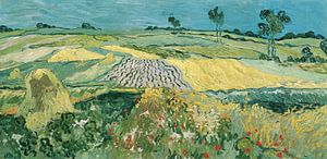 De vlakte van Auvers, Vincent van Gogh