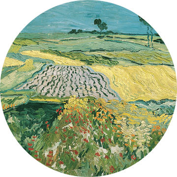 De vlakte van Auvers, Vincent van Gogh