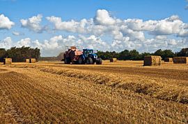 Récolte estivale sur les chaumes au Danemark