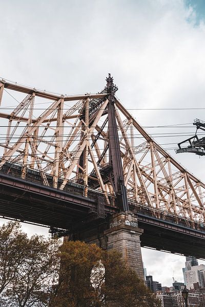 Bringen Sie die Energie von New York von Esma Vurgun