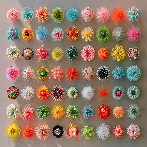 Pompom Party