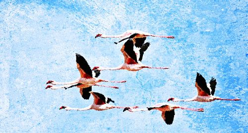 Flamingos in flight mixed media