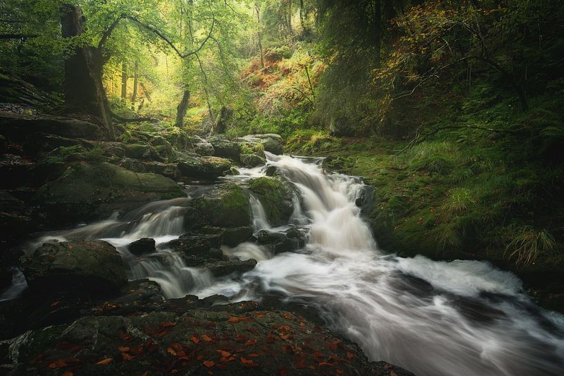 Mystischer Fluss von Roelie Steinmann