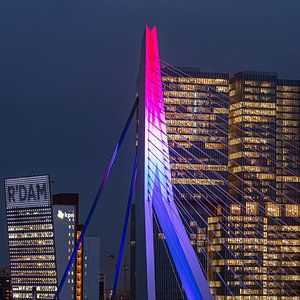 Le pont Erasmus de Rotterdam en gros plan sur Leon van der Velden