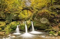 Schiessentümpel in Luxemburg im Herbst von Michael Valjak Miniaturansicht