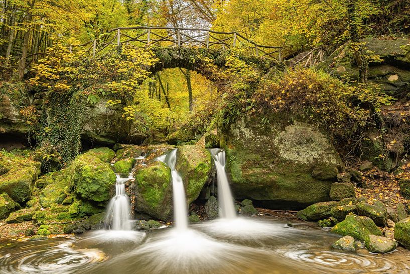 Schiessentümpel in Luxemburg im Herbst von Michael Valjak