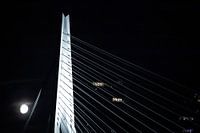 Erasmus Bridge By Night