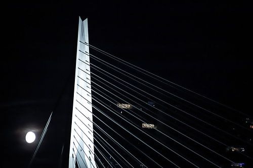Erasmus Bridge By Night